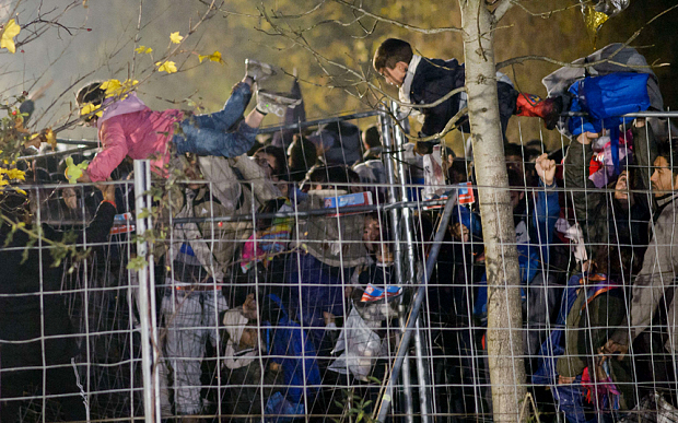 Подпись под фото: Мигранты помогают детям перелезть через забор на словацко-австрийской границе