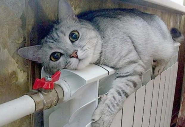 ����: facenews.ua