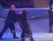У цирку Запоріжжя ведмідь напав на дресирувальника (відео)