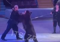 У цирку Запоріжжя ведмідь напав на дресирувальника (відео)