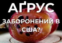 Аґрус під забороною: чому напівпрозора ягода десятиліттями була поза законом у США