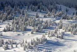Карпатські гори полонила зима: сніжне відео