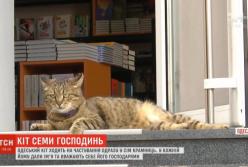 Хитрый одесский кот каждое утро ходит на угощения сразу в 7 магазинов (видео)