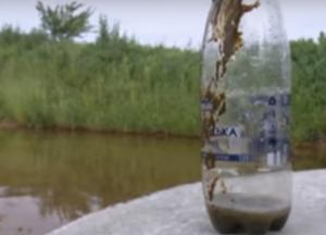 Иностранные инвесторы превращают озера Украины в водный Чернобыль (фото)