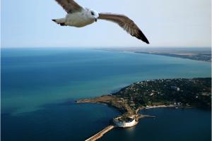 Экономист: Крым попросится обратно в Украину и никакого курорта там больше не будет
