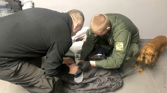 На личные вещи одного из пассажиров отреагировала служебная собака