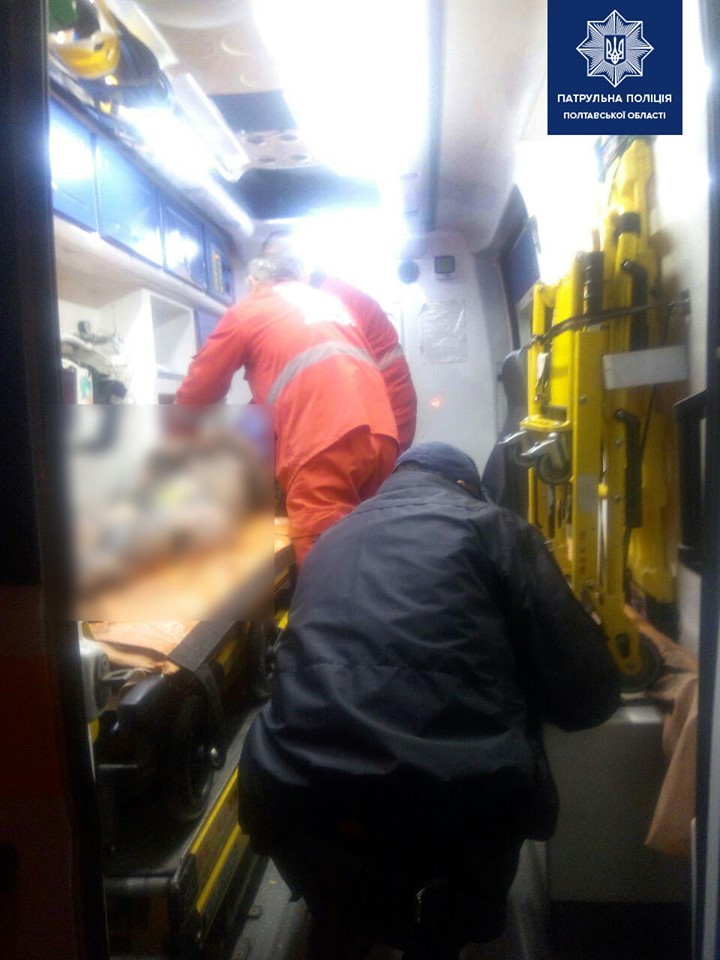 В Полтаве стая псов напала на женщину, полиция отбивалась газом