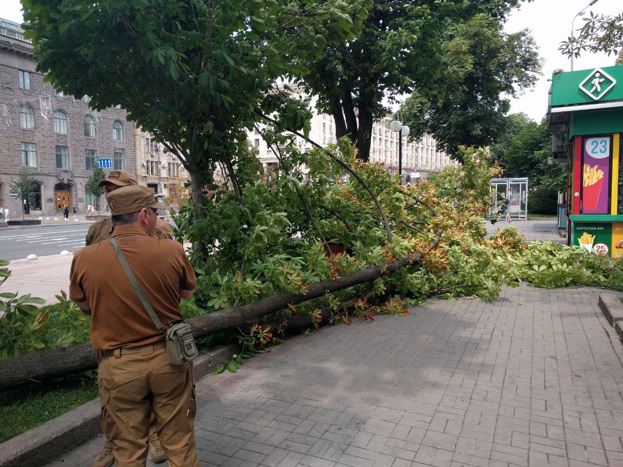 Ветер повалил огромный каштан на Крещатике