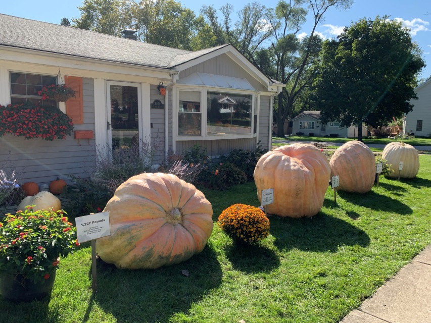 В США вырастили тыкву весом в тонну