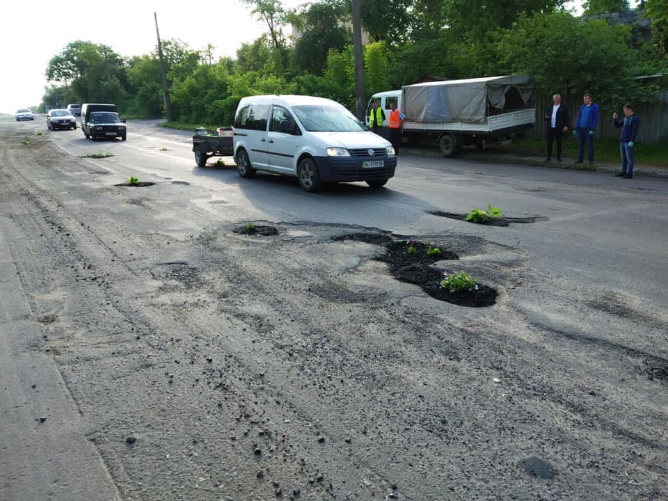 В Луцке в ямах на дорогах высадили цветы