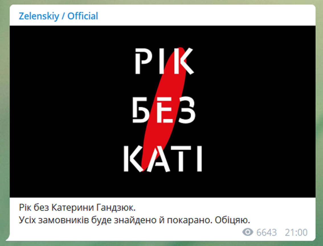 Владимир Зеленский пообещал найти и наказать заказчиков нападения на активистку Екатерину Гандзюк