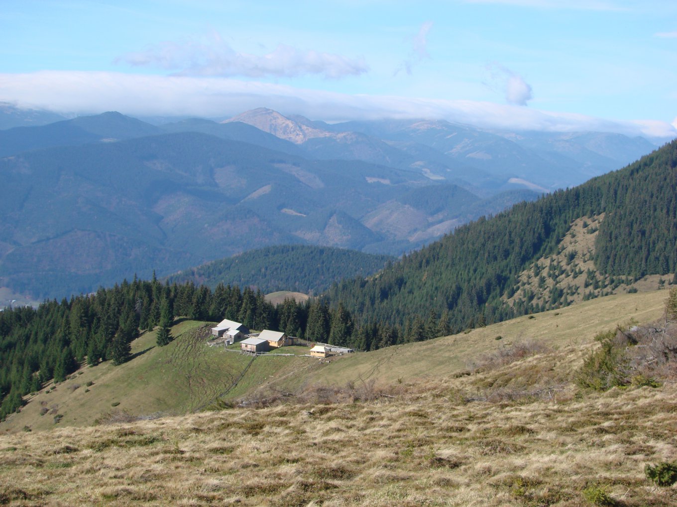 Фото: Сергея Канциренко