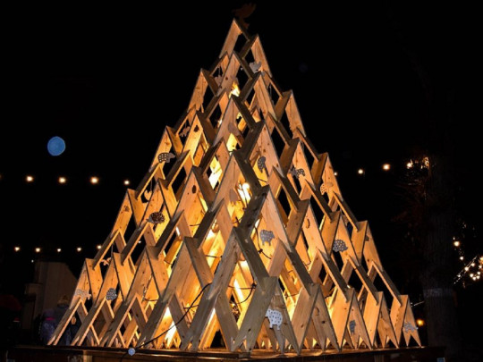 Елка из дерева во Львове