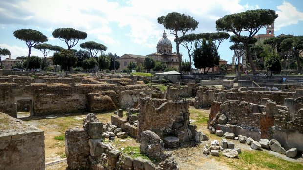 Археологи откопали затерянный город с сокровищами 