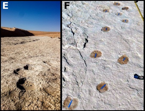 В Саудовской Аравии найдены отпечатки ног, которым 120 000 лет