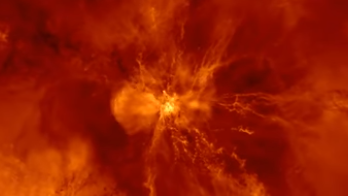 Джеты от четной дыры. Симуляция TNG50 