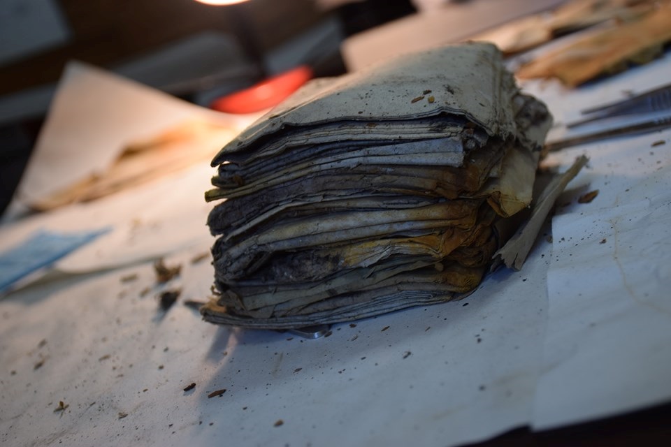 На Прикарпатье нашли ранее неизвестные архивы УПА