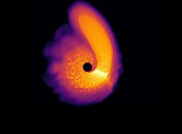 Credit: College of Charleston