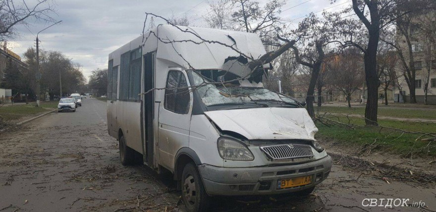 В Николаеве дерево упало на маршрутку, есть пострадавшие