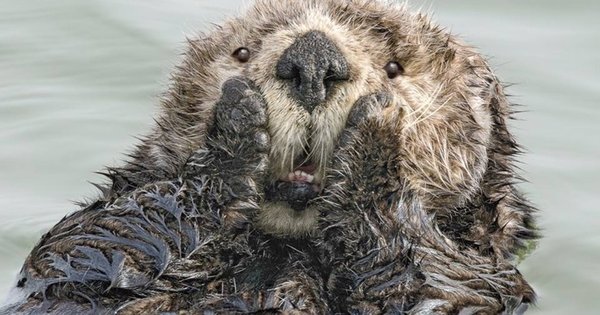 Самое смешное фото 