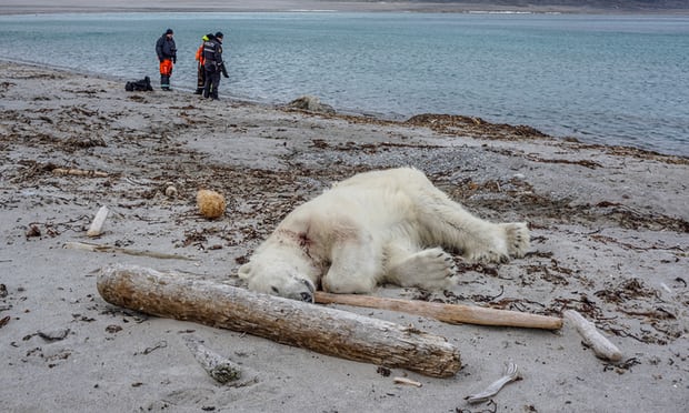 Фото: Ntb Scanpix/Reuters