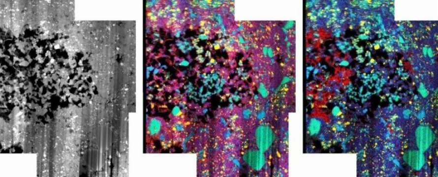 Ученые обнаружили ледяные окаменелости в метеорите