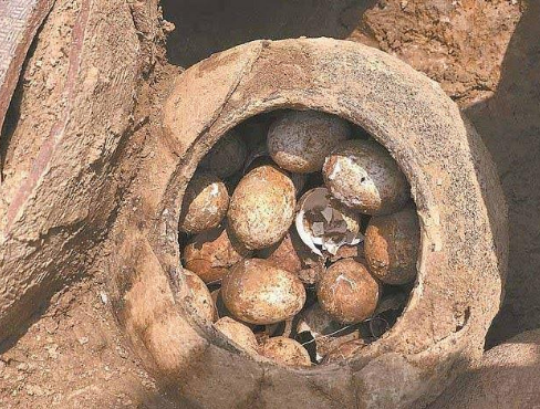 Археологи обнаружили кувшин с тысячелетними яйцами