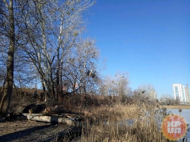 Живет на дереве в Киеве - мужчину подозревают в обмане (фото: Кулиш Ярослав, kp.ua)