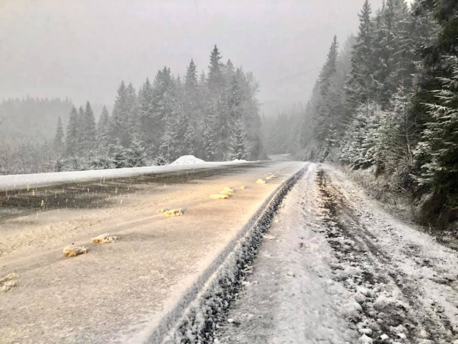 снег в Карпатах