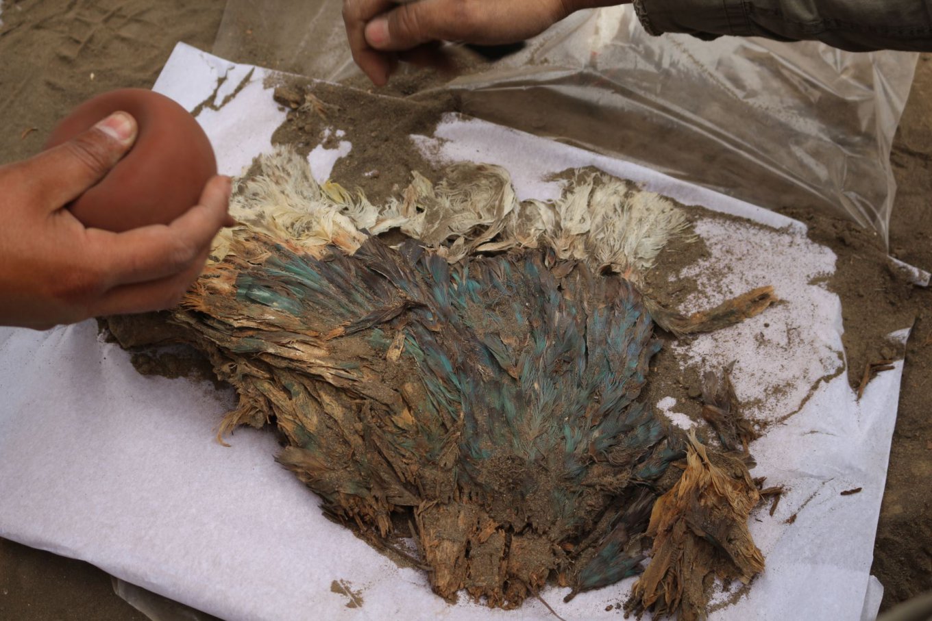 В Перу обнаружили останки человека в накидке с необычным головным убором