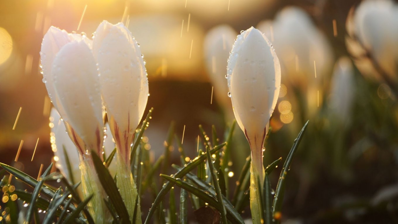 прогноз погоды в Украине