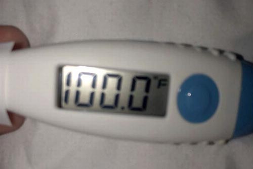 Американец перепутал термометр с тестом на беременность 