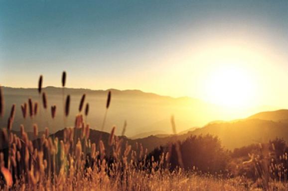 Зимы больше не будет