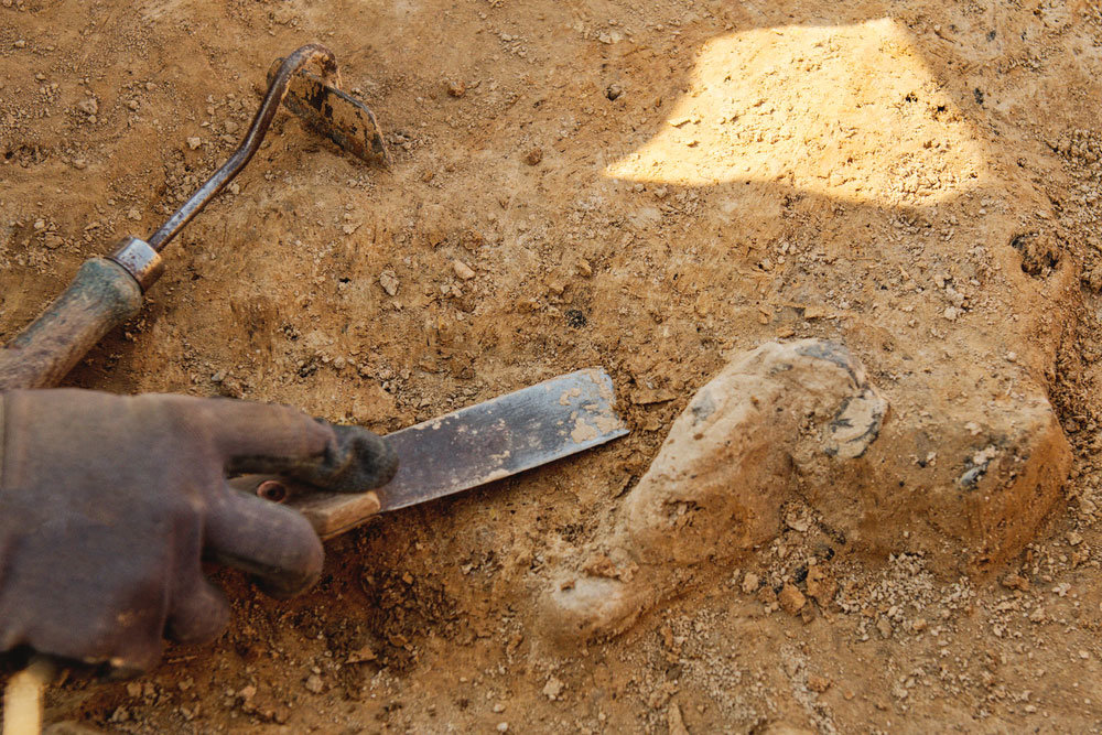 Клад в черепе мамонта нашли при раскопках в Подмосковье