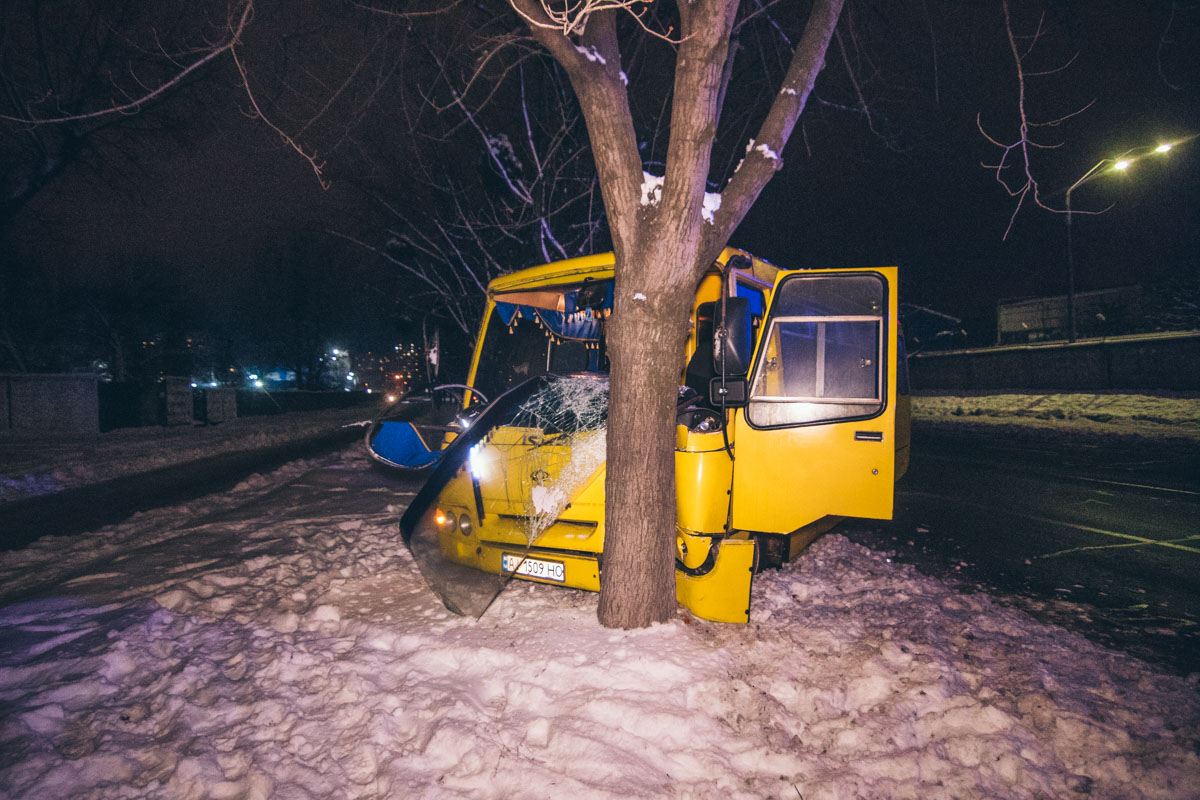 Маршрутка врезалась в дерево