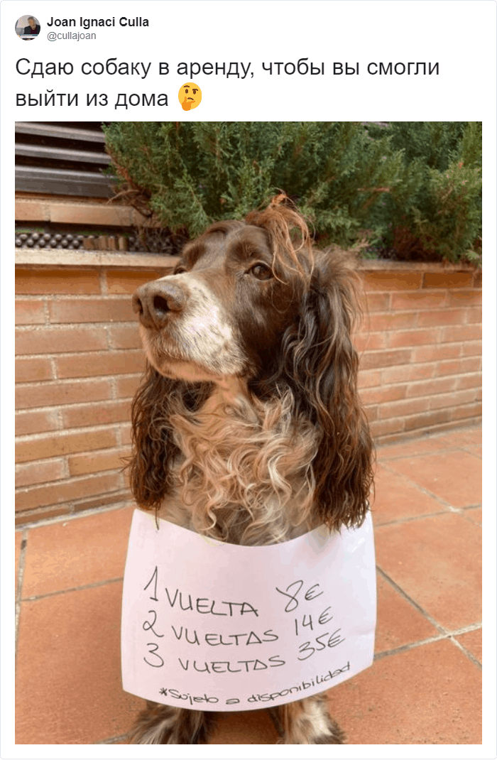 4255e7146116049e Економічні новини