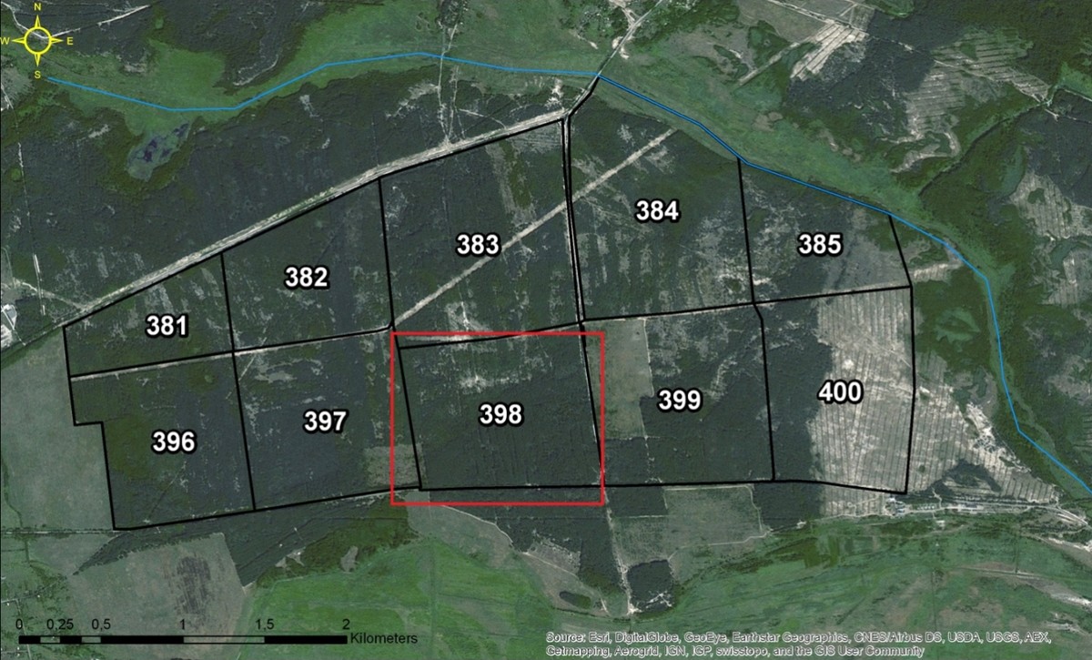 Знімок з космосу, зроблений у березні 2014 року