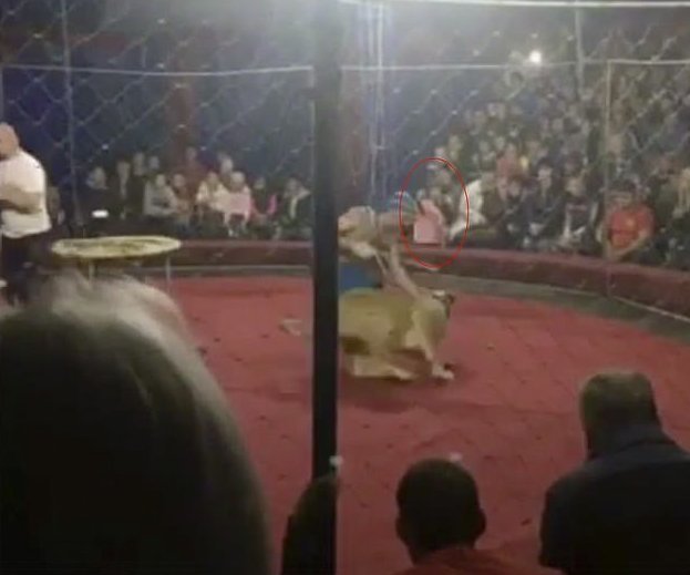 Родители неосторожно пустили девочку к защитной сетке