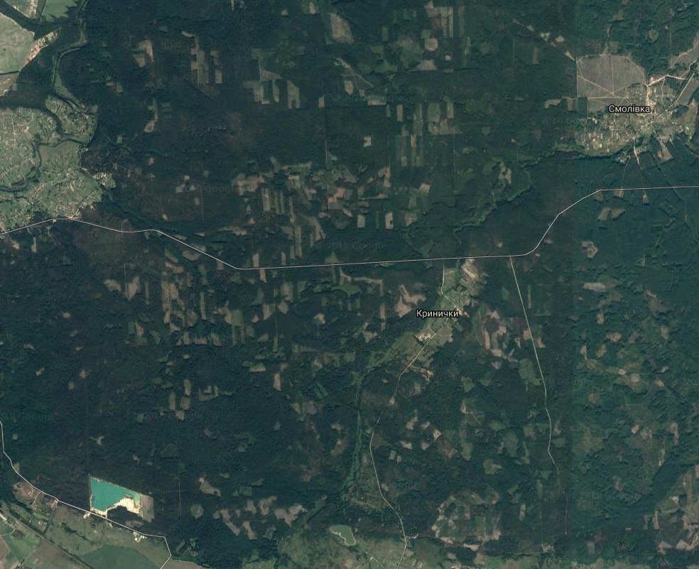 Вырубка леса в Житомирской области