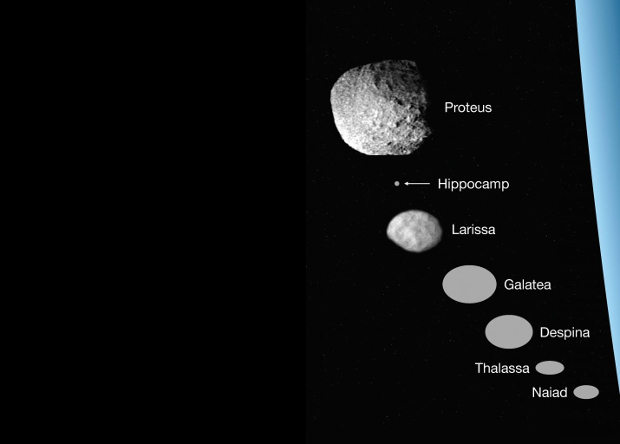 Внутренние спутники Нептуна. Голубой сегмент справа – Нептун. Credit: M. R. Showalter et al. Nature, 2019