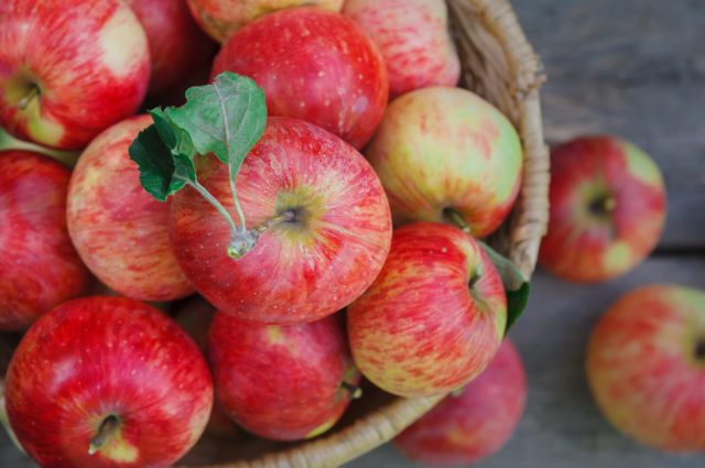 полезные свойства яблук