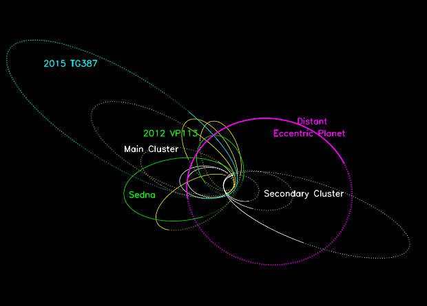 Орбиты далеких астероидов, карликовых планет и возможная орбита Планеты Х (розовая) 