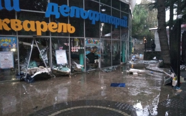 Авария в дельфинарии Алушты