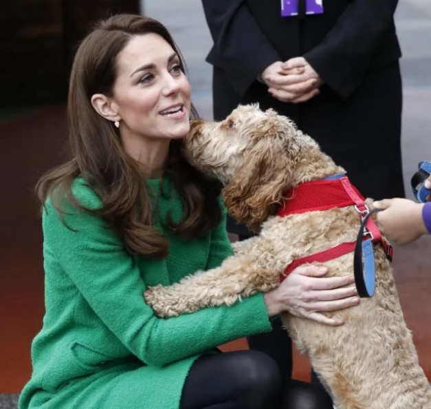 Кейт Миддлтон, 5 февраля 2019 год