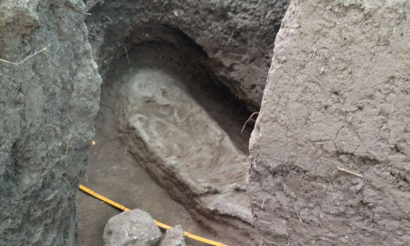 Древнейшую цивилизацию обнаружили археологи на юго-западе Амазонии