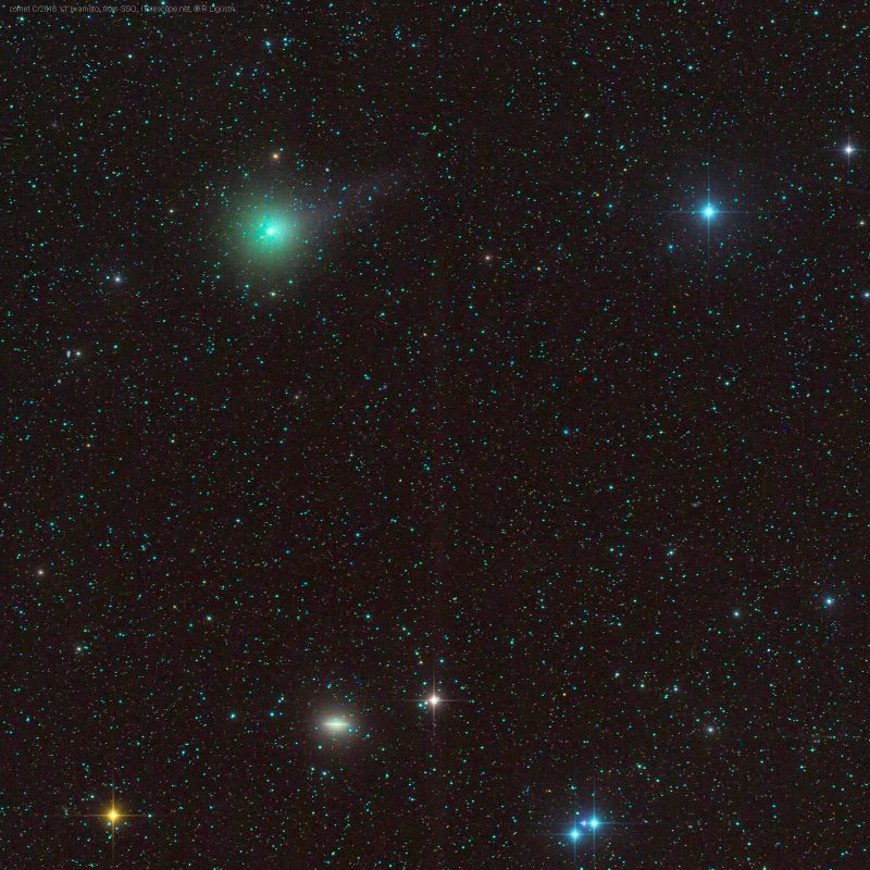 Комета C / 2018 Y1 (Ивамото)  и галактика М104 (Сомбреро). Credit: Rolando Ligustri