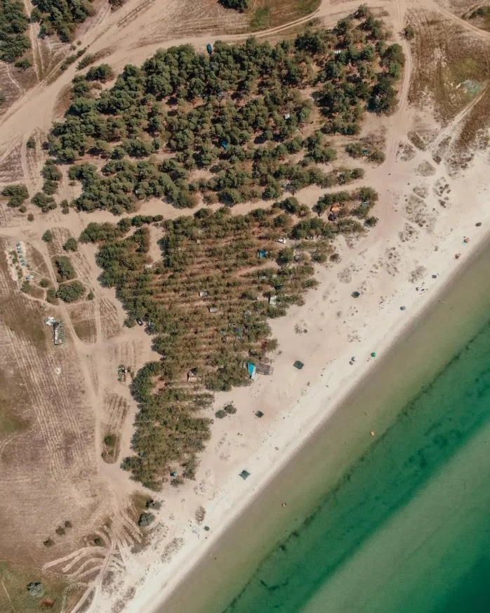 Кинбурнская коса. Фото: Facebook Rainbow_Cardinal