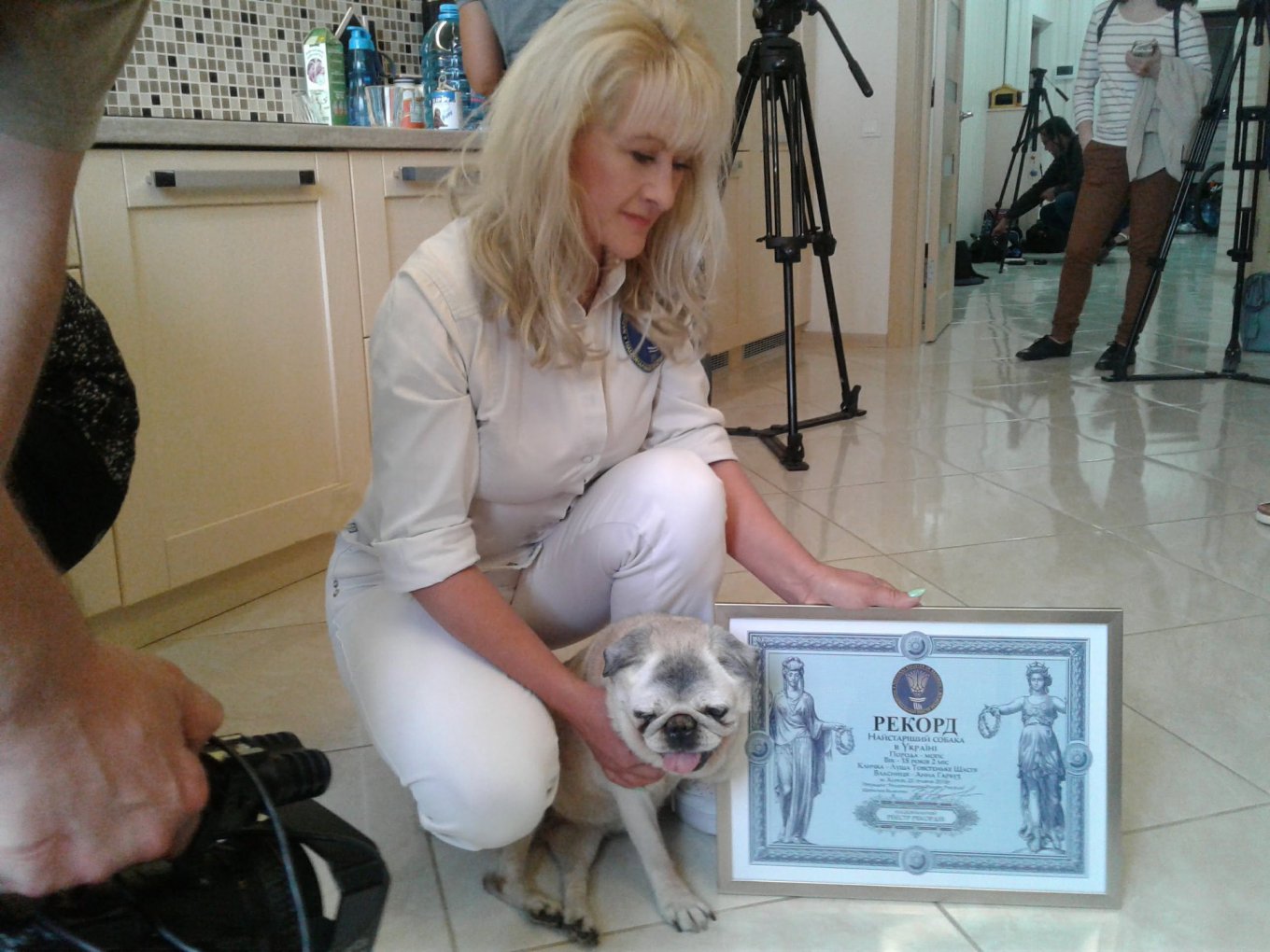 В Харькове умерла собака, официально признанная самой старой в Украине
