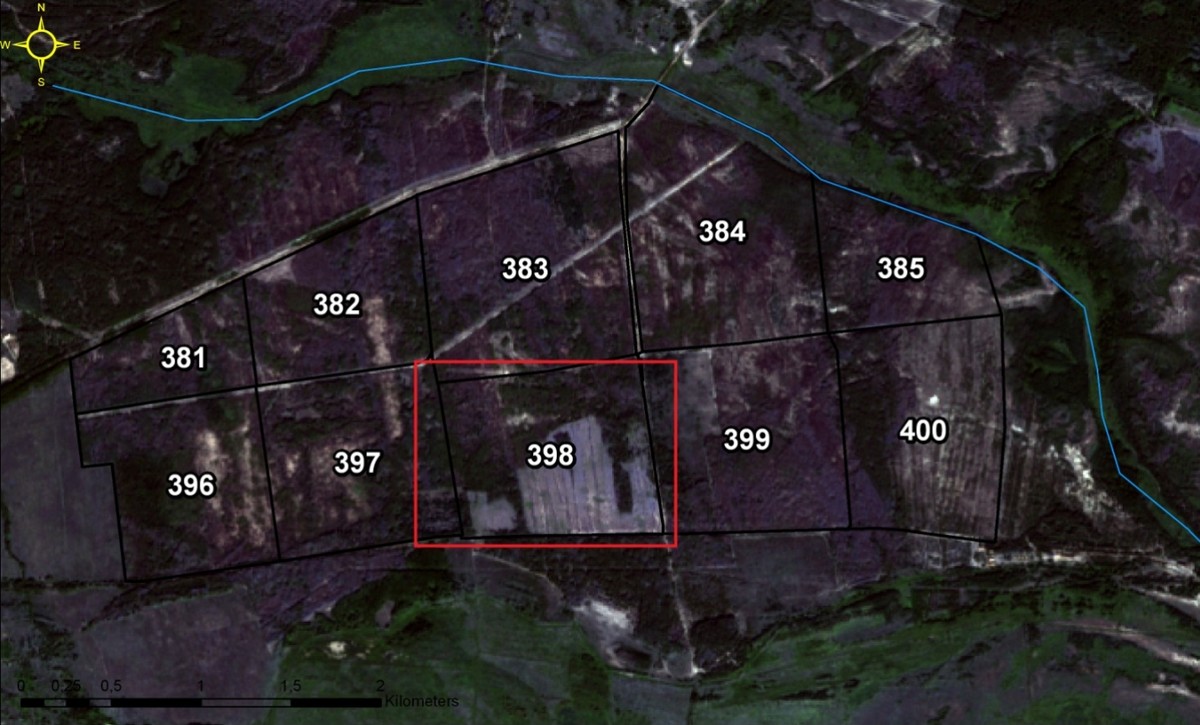 Знімок з космосу, зроблений у серпні 2016 року, після санітарної рубки