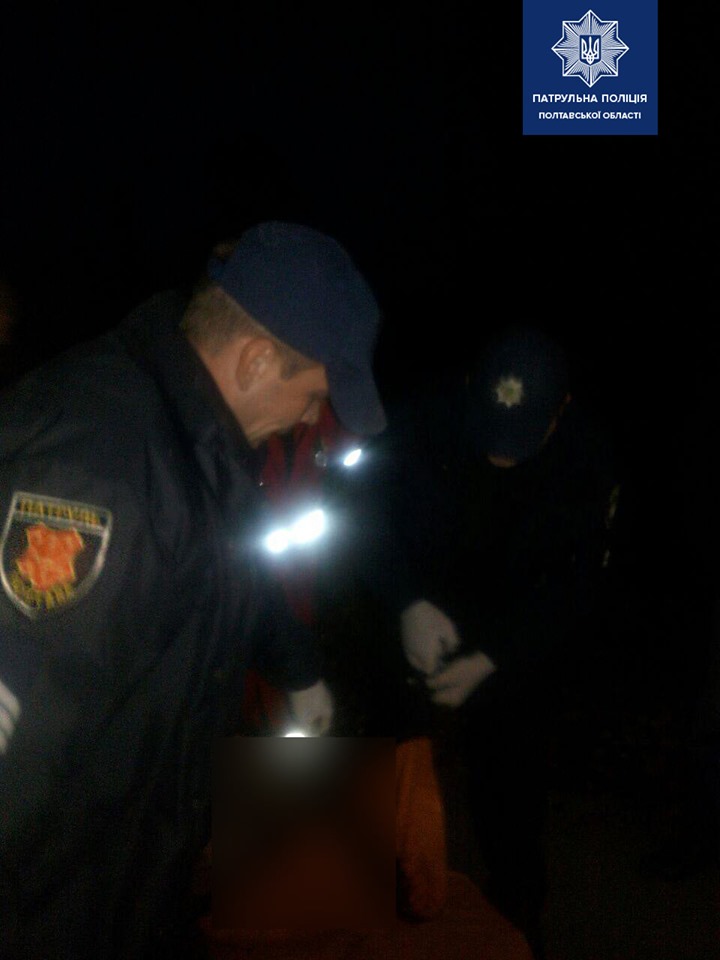 Собаки напали на инспекторов, когда те хотели помочь женщине